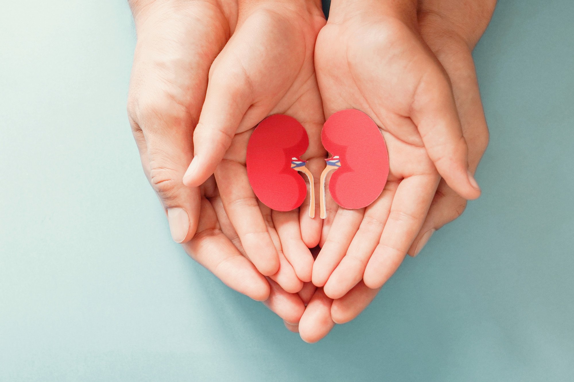 Organ transplant and advanced liver kidney care coordination